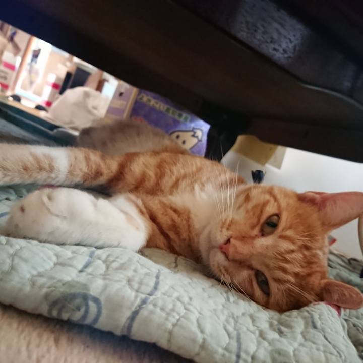 D7a4eb20 d13f 4e14 9385 10c3b2a78a97 1565393041361