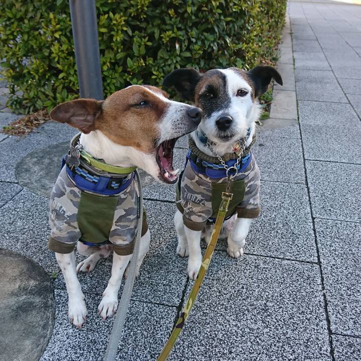 D7a4ef86 0d34 4487 bc20 429958cfdf77 1613602880110