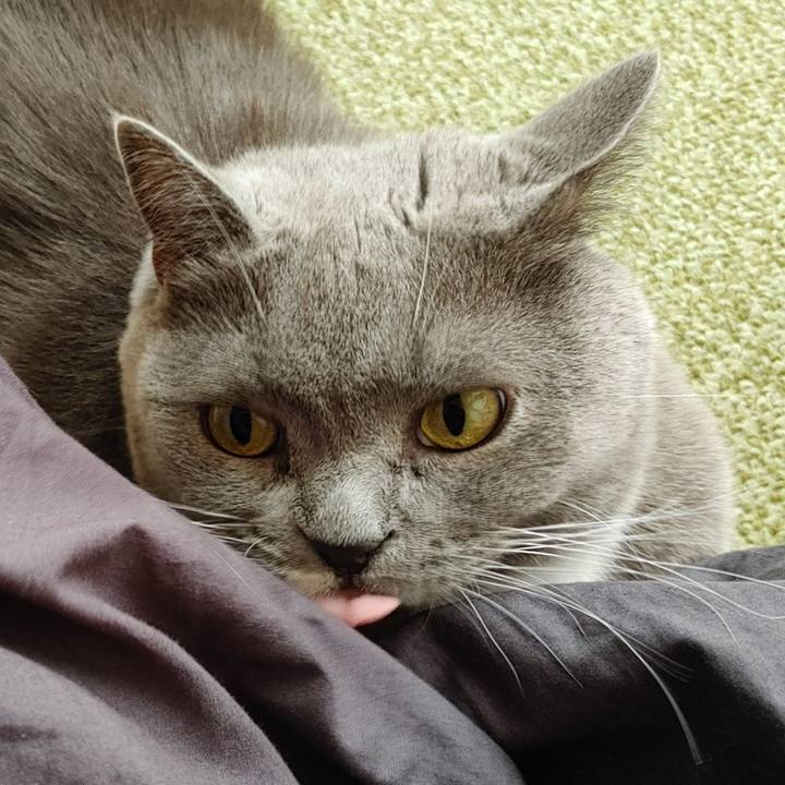 D7a50386 b839 4e44 882f 532e3d13563d 1666407029853