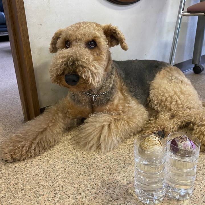 D7a58fe2 bbb6 4562 be54 3aaf963041ea 1601118833704