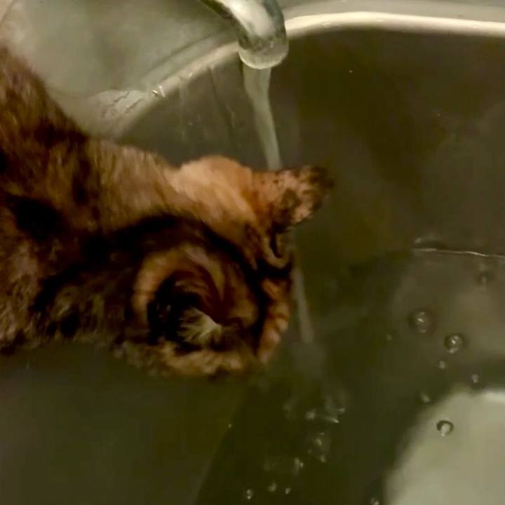 D7a5a796 3b81 4345 8abf 1b0a0619528a 1748204543415