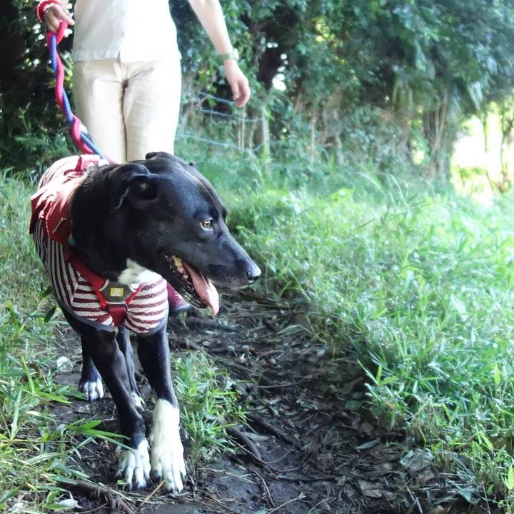 D7a5a819 66e9 4cfb b285 679fa0cba756 1593646444236