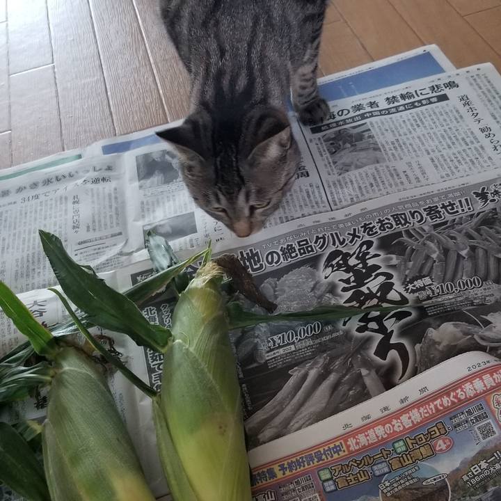 D7a5b46c 3dcc 4a45 9b75 1f3591bf7a2d 1693402942226