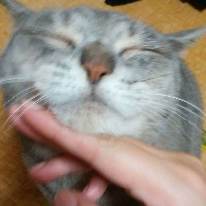 D7a5c792 4d0b 45ac 9bcc cc9d38349475 1596027696481