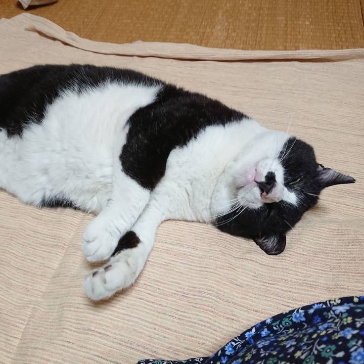 D7a5e97b da6c 4d32 bdc5 b44d47d0a2df 1629885424764