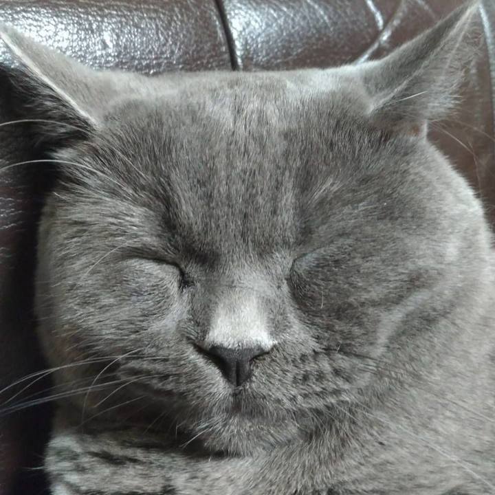 D7a5f1d2 7206 4c49 9a9b e740ebe21a95 1725655593454