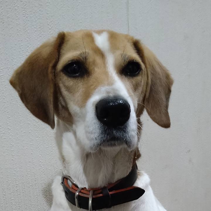 D7a5f369 458c 4e47 850f ac99fe89b0da 1638196987580