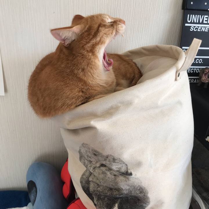 D7a61345 4f24 4202 bd82 075a47af4587 1587875281365