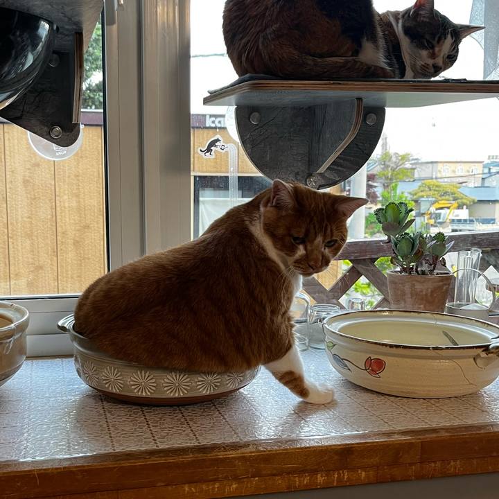 D7a63fd0 427e 46a2 88b8 37ae0e648e04 1717839270686