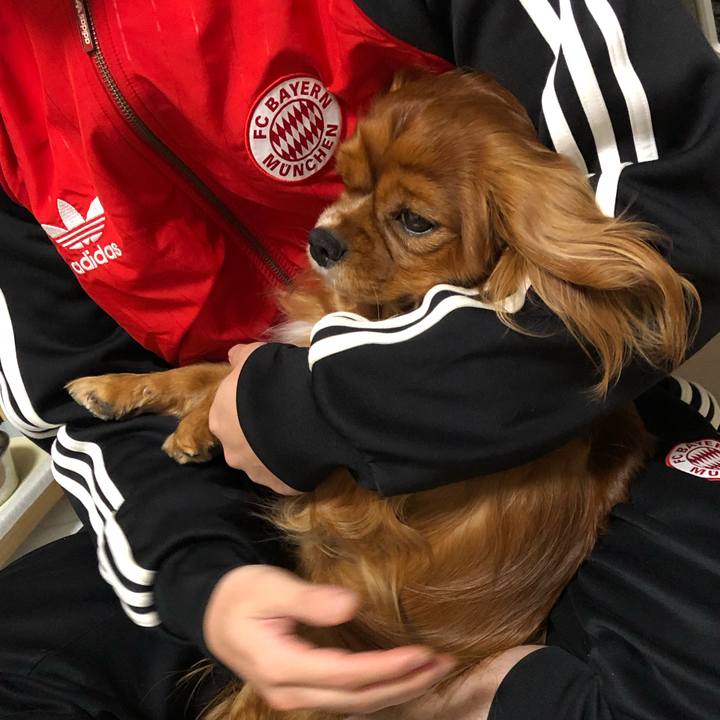 D7a68228 2e5c 4b06 bc23 0cf5581b2e7f 1581460131958