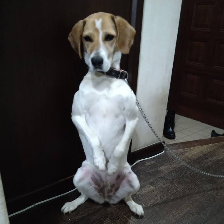 D7a684bc ecae 4a0a b229 e9ba501a137b 1622126767950