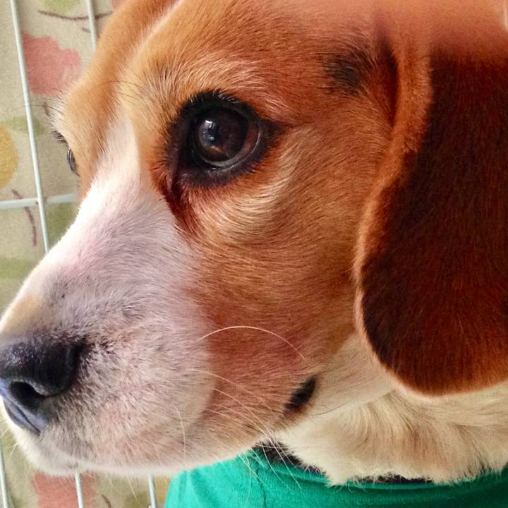 D7a6898c 76a6 4264 9072 7d838cf25bc1 1739923256438