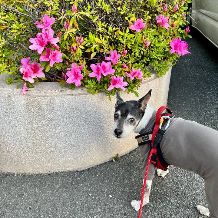 D7a69c07 8433 4af1 afcd d5dcfb9507e9 1649712332496