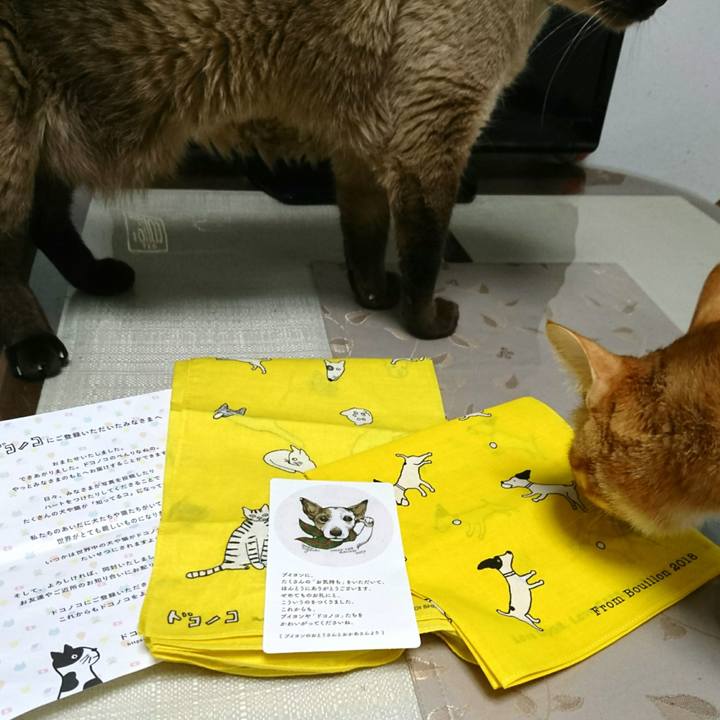 D7a6c55f 60b6 44ed 8bbc b316947ed5b2 1524826216442