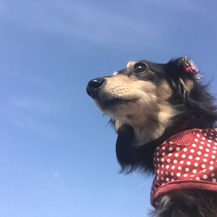 D7a6f7a5 5b46 4260 8836 806124bf0bd0 1521073680614