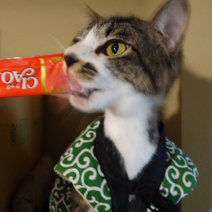 D7a7534f 2e23 46b6 923b eb252b933294 1759399839582