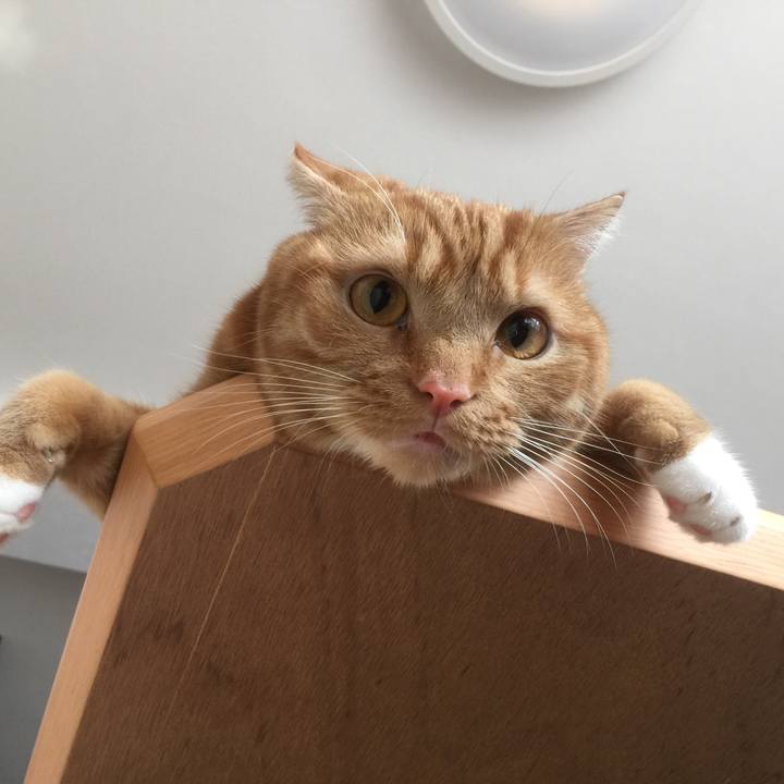 D7a77b45 022f 4ca4 b730 5c0b2c33f74f 1535583141785