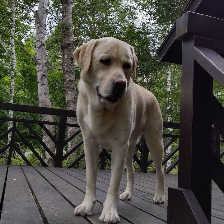 D7a78381 89d6 4ecc a129 9e126b0a9aba 1597671300087