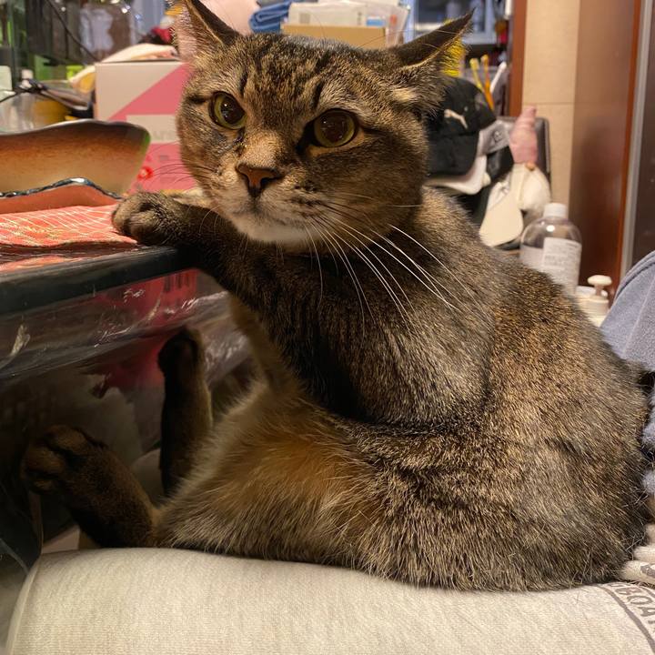 D7a78571 1e6b 4ac6 859e e705bc54426e 1639611089757