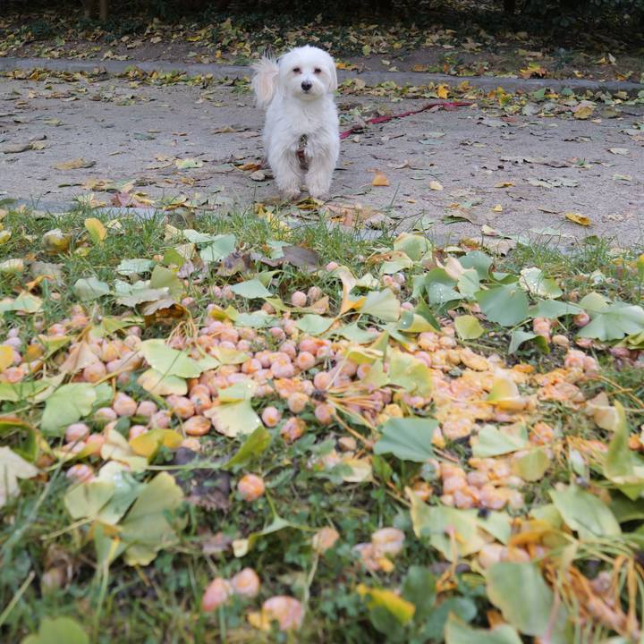 D7a85ba7 9695 4125 a0af f51da26ce499 1761728019371