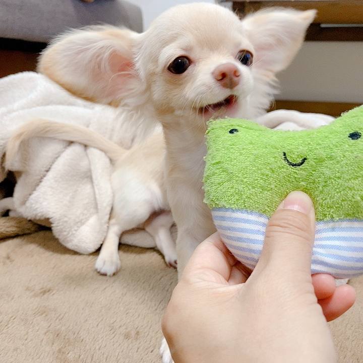 D7a89b8a bca1 4366 b0f4 a70182645e9d 1593826657993