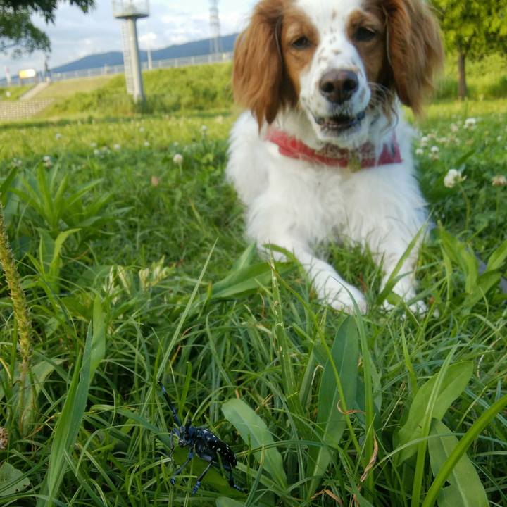 D7a8d2c8 72ad 4399 a37f 7f36ccec6453 1561462347101