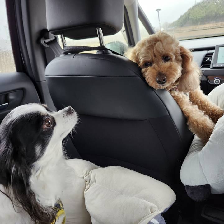 D7a8dcd2 c7b1 4495 859d f84677b04a92 1772241679105