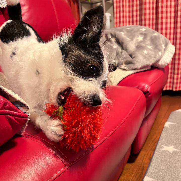 D7a8f699 999c 4308 9a9d ce99b3a22413 1653654010695