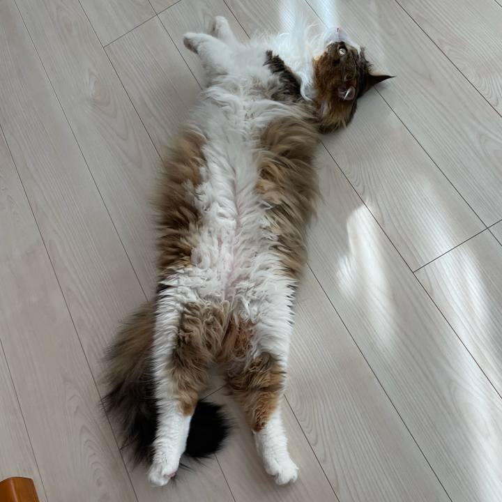 D7a8fbe4 0e1e 4eb3 a486 b25f4d1e0ec6 1716673616418