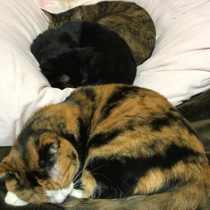 D7a906bd 5757 4c1d a84b d1ee40ca0968 1511257493289