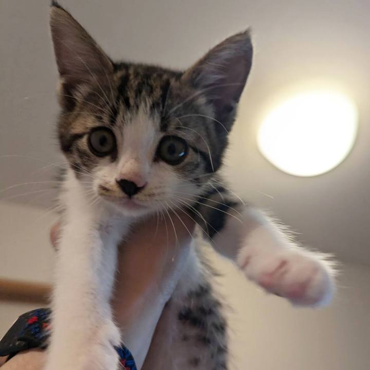 D7a90ef7 9e2e 4325 95be d79c68fb8791 1719115142337