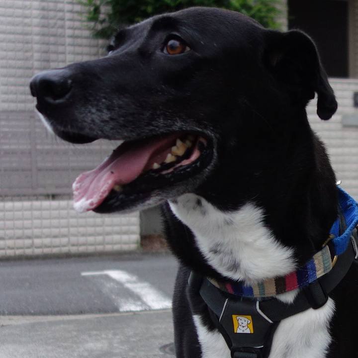 D7a9700a 7c99 4fa7 b13c 55da1f10073d 1654945968524