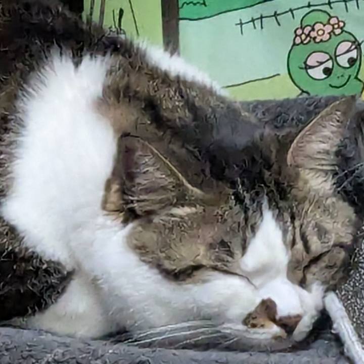 D7a9b9f2 af16 4189 837a f519f968b8f4 1745151393284