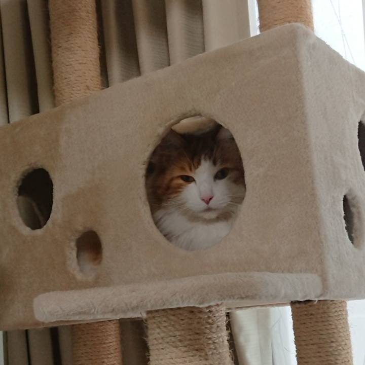 D7a9d2a6 4edc 4cb5 8d14 0d7eac1e7b80 1556085734718