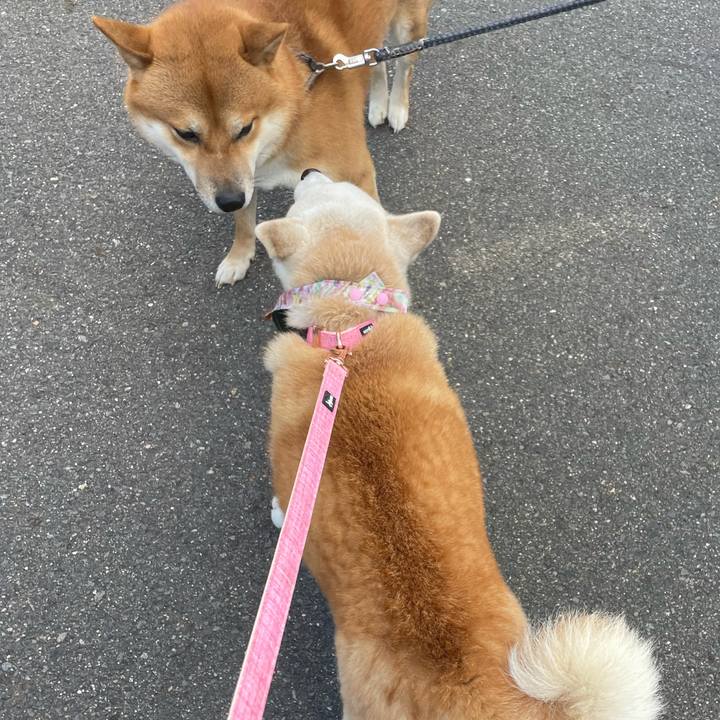 D7a9d492 bd1a 425a 95ca 0aebd257b939 1669523567317