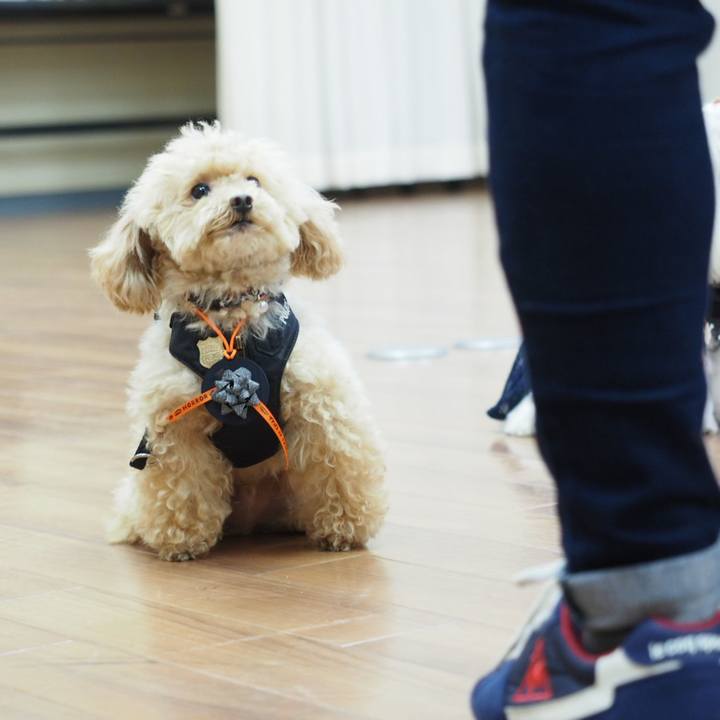 D7a9fe89 baa4 4fa4 8c7b 85d790402b6a 1539348913173