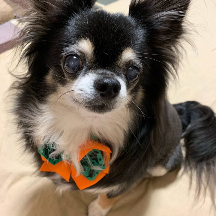 D7aa6aa8 46f0 4184 9c9b a1a120835b58 1568376287960