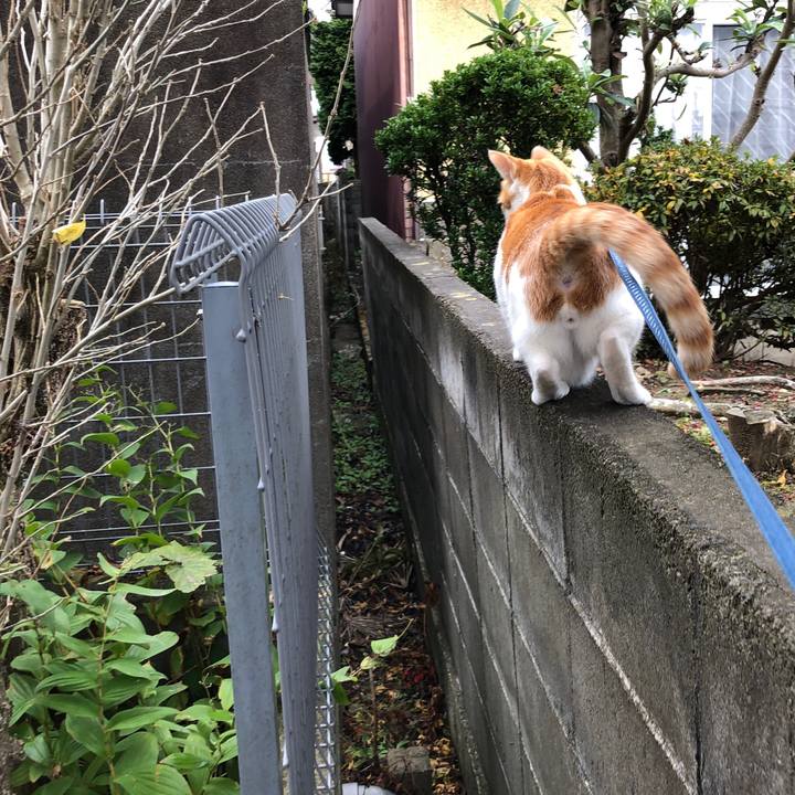 D7aa6b6f 1581 4734 824d c62751598f23 1542871815973