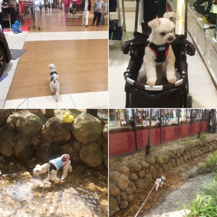 D7aa75ad 24a1 4100 9751 7b283cf48a03 1555842417728