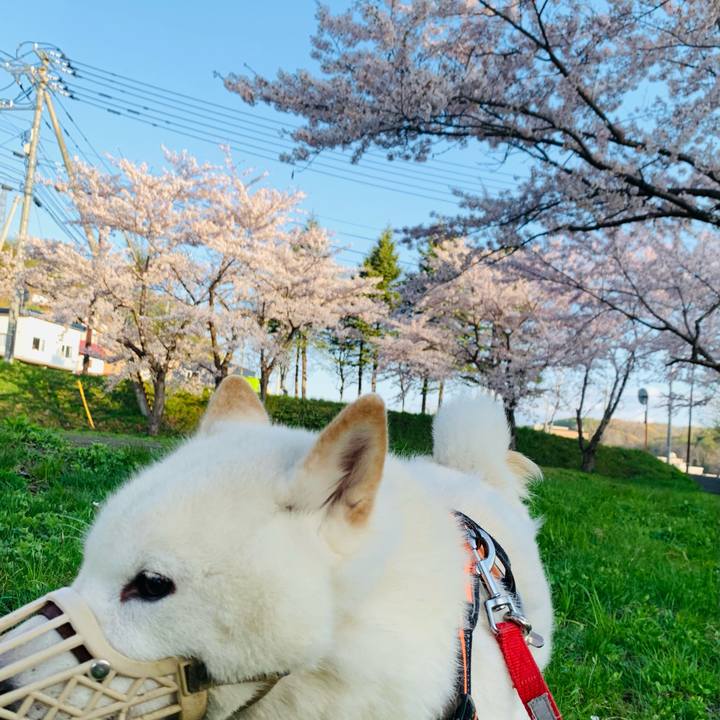 D7aa7f63 0c22 4daa bfde d4aac1abe0d1 1620250351448