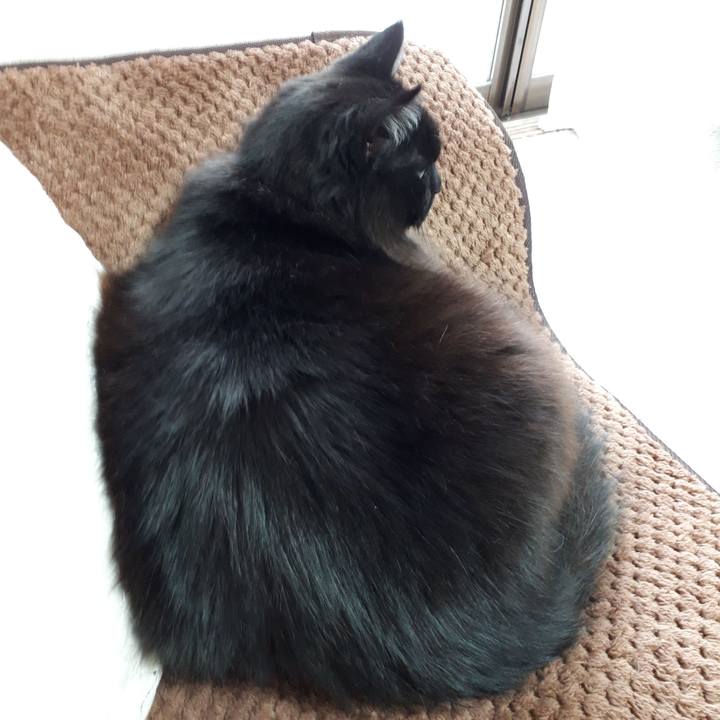 D7aaa6b4 30bc 467f b3e1 e92e80f8bc65 1518681366542