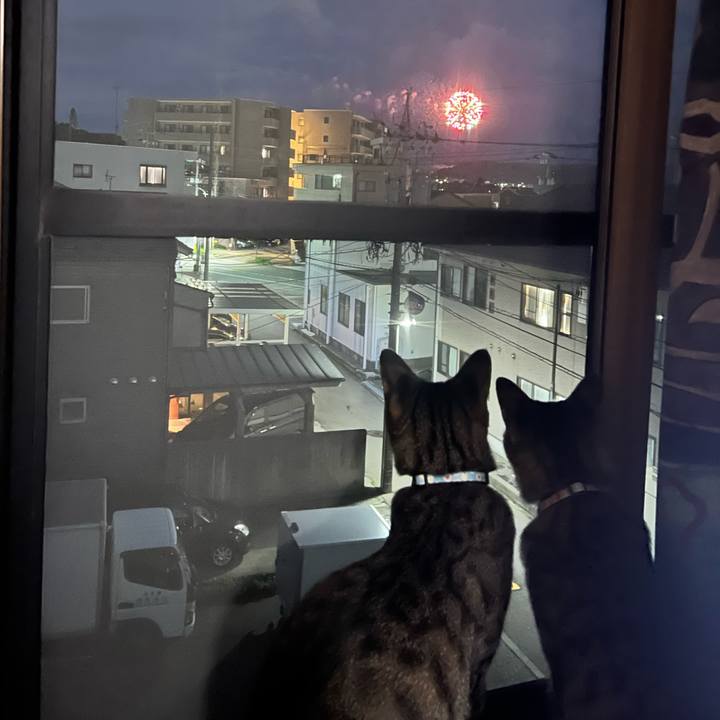 D7ab20db 09e6 493e a96d 5ef7e8395336 1756651068015