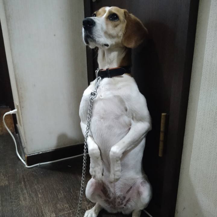 D7ab5923 2133 462d b030 4849637b05ce 1624708585362