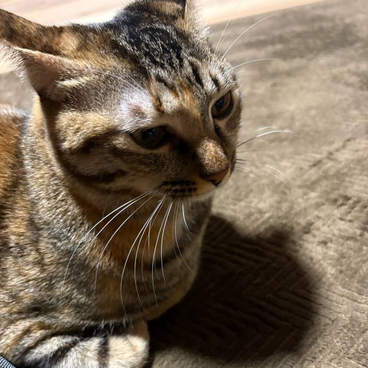 D7ab60f2 b963 458a 90e5 317816681000 1764196889793