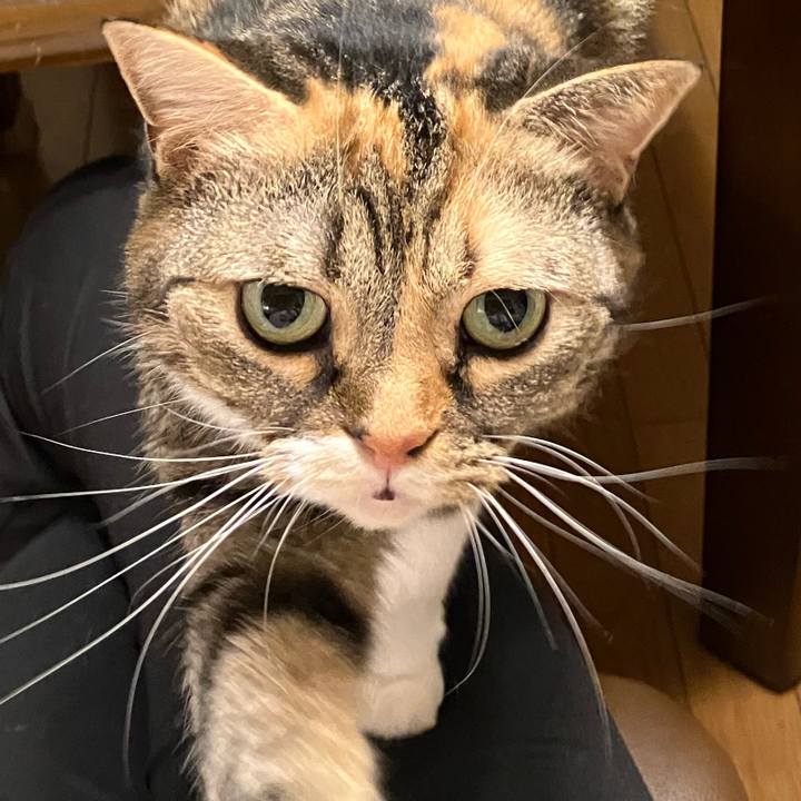 D7ab63a5 6d1c 49ca b045 1cbf7eb2b497 1758252772399