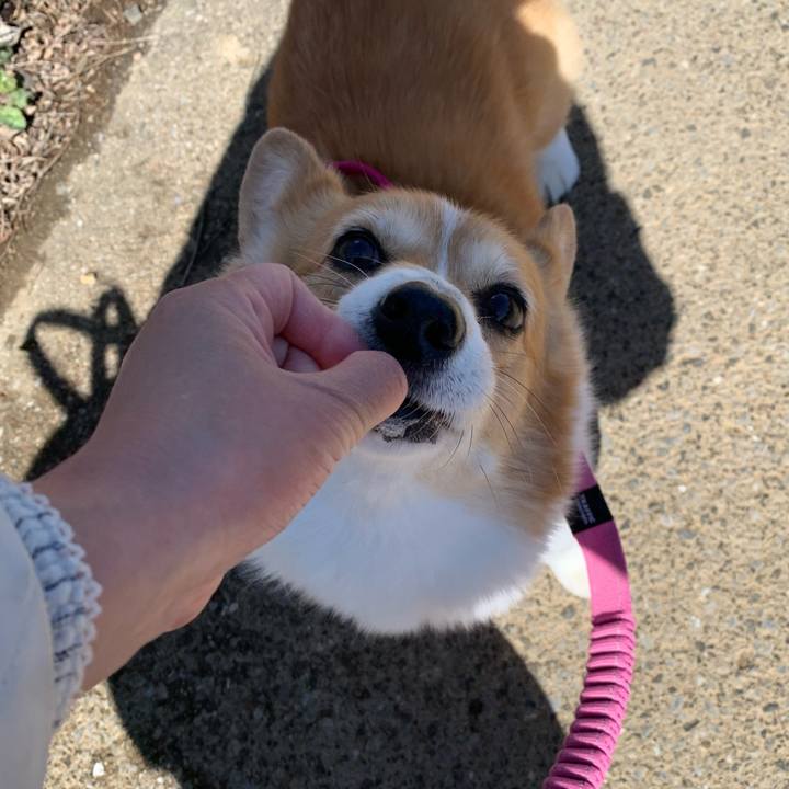 D7abc6cd dcca 4044 b05f 2e84423dddf9 1708914188262