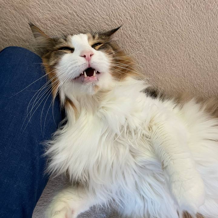 D7abc6e4 1473 46c2 85f5 9f3ce670c271 1772681360790