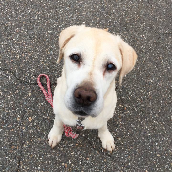 D7abd457 a498 4d1e a187 4910dca3a612 1571220425409