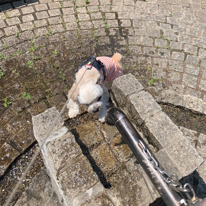 D7abea48 fad8 4d18 a162 734590944e6f 1559049827827