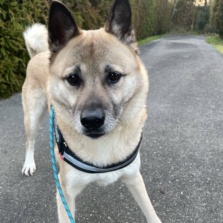 D7ac4c0f e900 4c17 a4f3 7c98043e6bf2 1711113253179